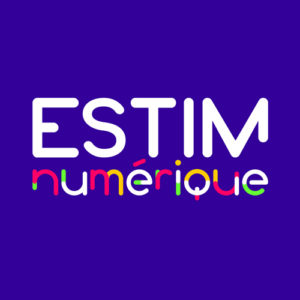 Logo-ESTIMnumerique